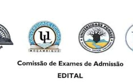 Depois de Admitidos na UP 2026: Resultados, Repescagem e Matrículas – Guia Completo